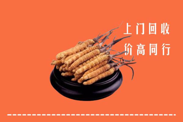 高价求购：阜新市回收散虫草