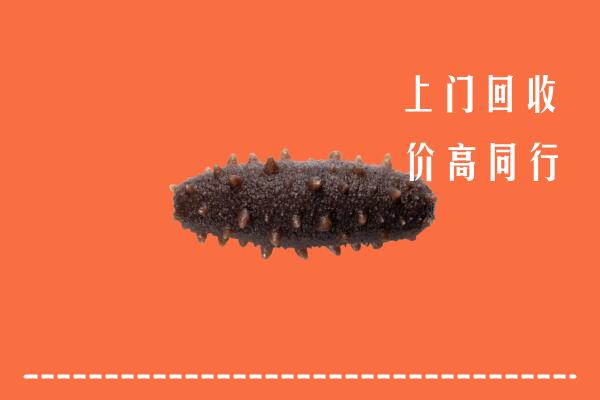 高价求购：阜新市回收海参