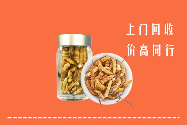 阜新市高价回收冬虫夏草