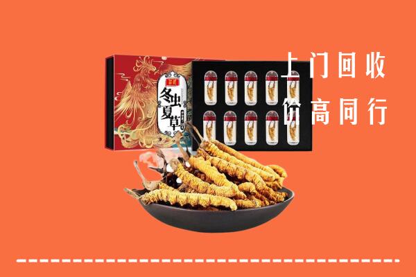收购行情：阜新市回收虫草